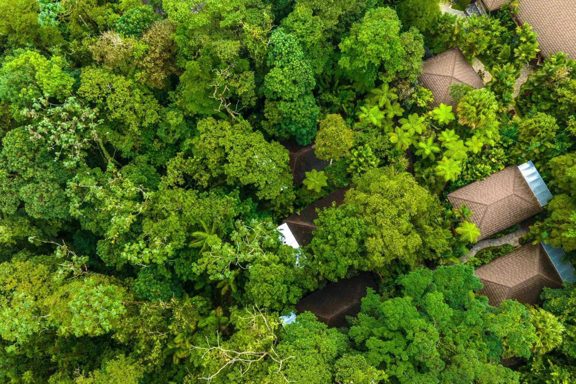 Hideaway Rio Celeste Hotel ビハグア エクステリア 写真