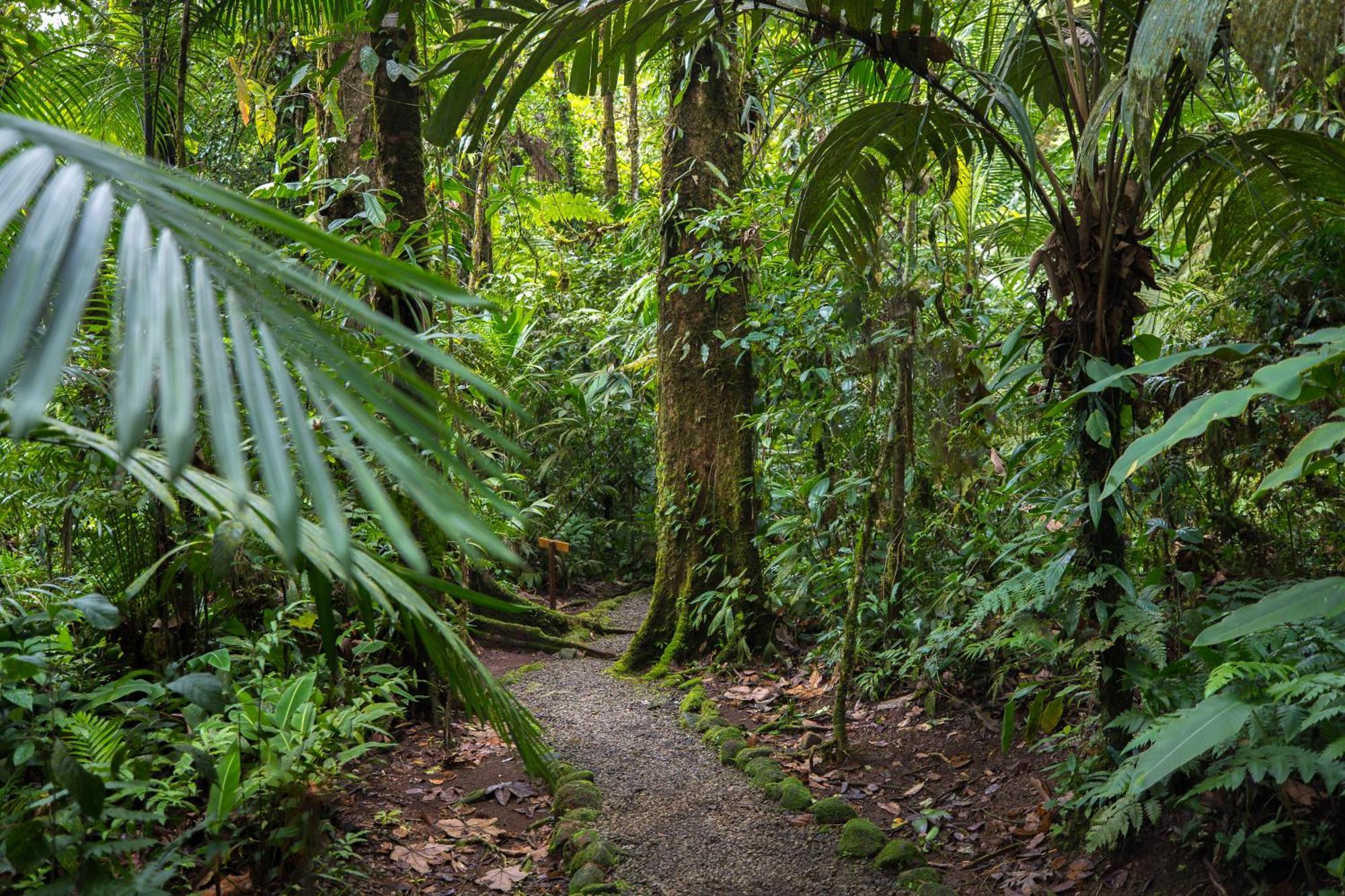 Hideaway Rio Celeste Hotel ビハグア エクステリア 写真