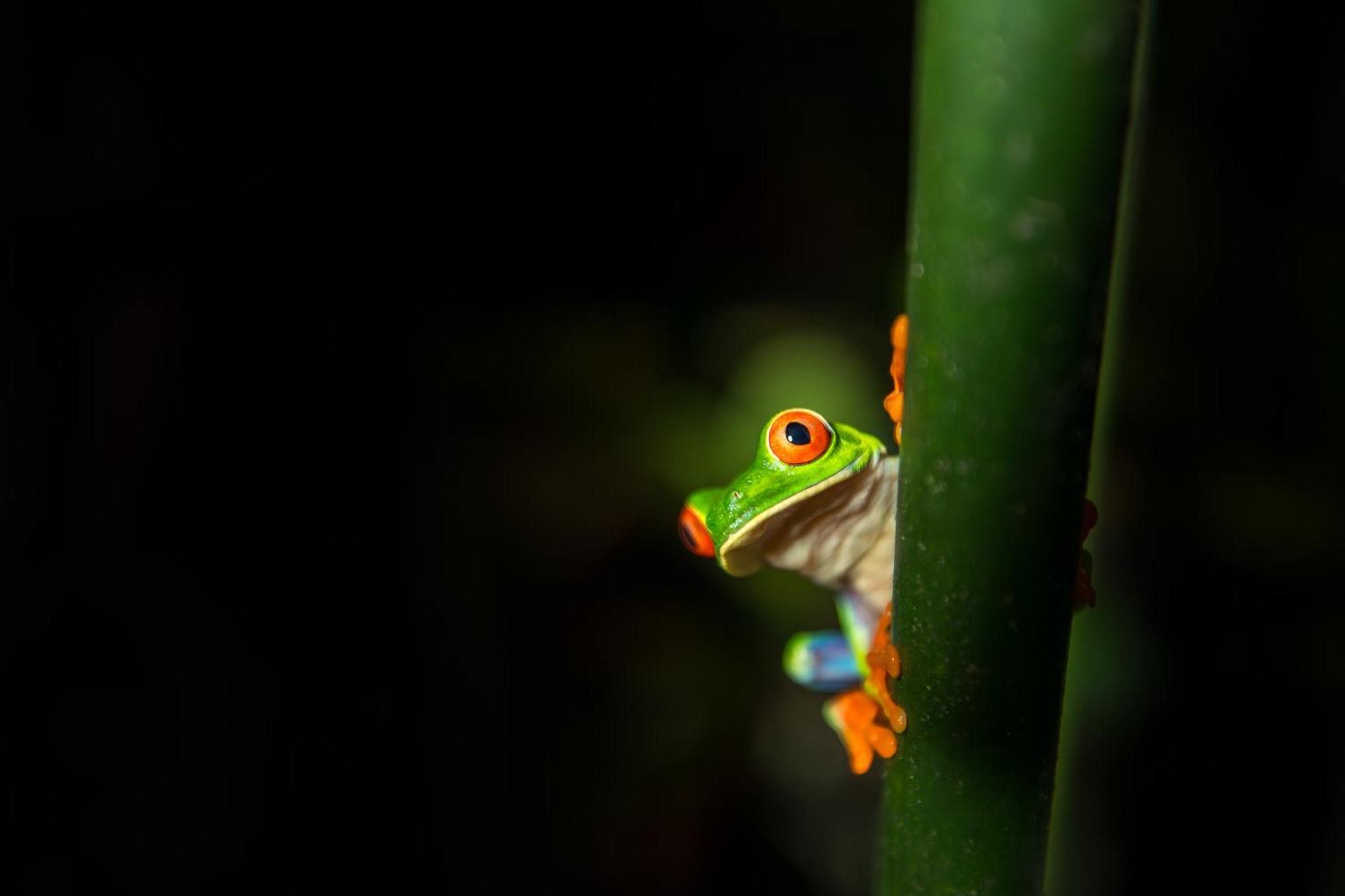 Hideaway Rio Celeste Hotel ビハグア エクステリア 写真